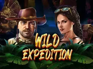 Savaspin Casino screenshot
